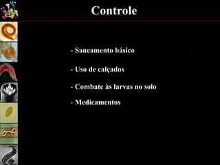 Controle
- Saneamento básico
- Uso de calçados
- Combate às larvas no solo
- Medicamentos
 