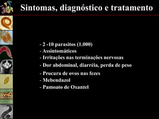 Sintomas, diagnóstico e tratamento
- 2 -10 parasitos (1.000)
- Assintomáticos
- Irritações nas terminações nervosas
- Dor abdominal, diarréia, perda de peso
- Mebendazol
- Pamoato de Oxantel
- Procura de ovos nas fezes
 