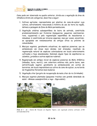 Como pode ser observado no quadro anterior, dividiu-se a vegetação da área de
influência direta em categorias, descritas a seguir:

     1. Cultivos agrícolas, representados por plantios de cana-de-açúcar cuja
        cultura, estreitamente relacionada à história de uso da terra na região,
        delineia a paisagem da Zona da Mata pernambucana;
     2. Vegetação arbórea subespontânea de beira de estrada, constituída
        predominantemente por fruteiras (mangueiras, jaqueiras, azeitoneiras-
        roxa, cajazeiras) e pela regeneração espontânea de macaibeiras e
        imbaúbas; é constituída por árvores esparsas, mas por vezes, encontram-
        se agrupadas em remanescentes de antigos sítios ou próximo às
        comunidades;
     3. Maciços vegetais, geralmente arbustivos, de espécies pioneiras, que se
        estabelecem em áreas mais úmidas, mal drenadas, resultado da
        regeneração natural de espécies colonizadoras em locais anteriormente
        cultivados e hoje abandonados. Dominam alguns tipos de espinheiros ou
        calumbis, jurubeba e outras espécies ruderais.
     4. Regeneração em estágio inicial de espécies pioneiras da Mata Atlântica
        (imbaúba, lacre, murici), com cobertura arbórea rala, porte baixo, sem
        estratificação vegetal, geralmente se estabelecendo em cortes de
        barreiras, em locais imprestáveis ao cultivo da cana-de-açúcar, ou na borda
        de fragmentos florestais mais maduros.
     5. Vegetação ciliar (projeto de recuperação de mata ciliar do rio Sirinhaém)
     6. Maciços vegetais plantados (pequenos trechos com grande densidade de
        sabiá - Mimosa caesalpiniifolia, e inga – Inga edulis.).

 A                                              B




Foto 6 – A) – Pastos B). Povoado do Engenho Tapera, com vegetação arbórea cultivada. (UTM
0271128/9067274)



                                         22 de 56
 