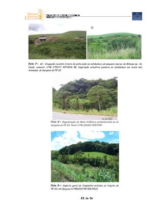 A                                                      B




Foto 7 – A) – Ocupação recente à beira da pista onde se estabelece um pequeno maciço de Mimosa sp.. Ao
fundo, canavial. UTM 275117/ 9072834. B). Vegetação arbustiva pioneira se estabelece em locais mal
drenados, ás margens de PE-60




                    Foto 8 – Regeneração de Mata Atlântica estabelecendo-se às
                    margens da PE-60. Ponto UTM 026831/9057044




                    Foto 9 – Aspecto geral de fragmento próximo ao trajeto da
                    PE-60, em Ipojuca (UTM0269718/9062462)



                                               23 de 56
 