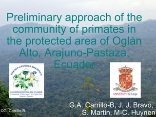 Preliminary approach of the community of primates in the protected area of Oglán Alto, Arajuno-Pastaza, Ecuador G.A. Carrillo-B, J. J. Bravo,  S. Martin, M-C. Huynen ©G. Carrillo-B. 
