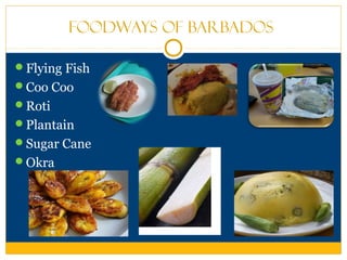 Foodways of Barbados
Flying Fish
Coo Coo
Roti
Plantain
Sugar Cane
Okra
 