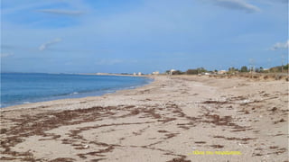 … τέλος του πειράματος.
 