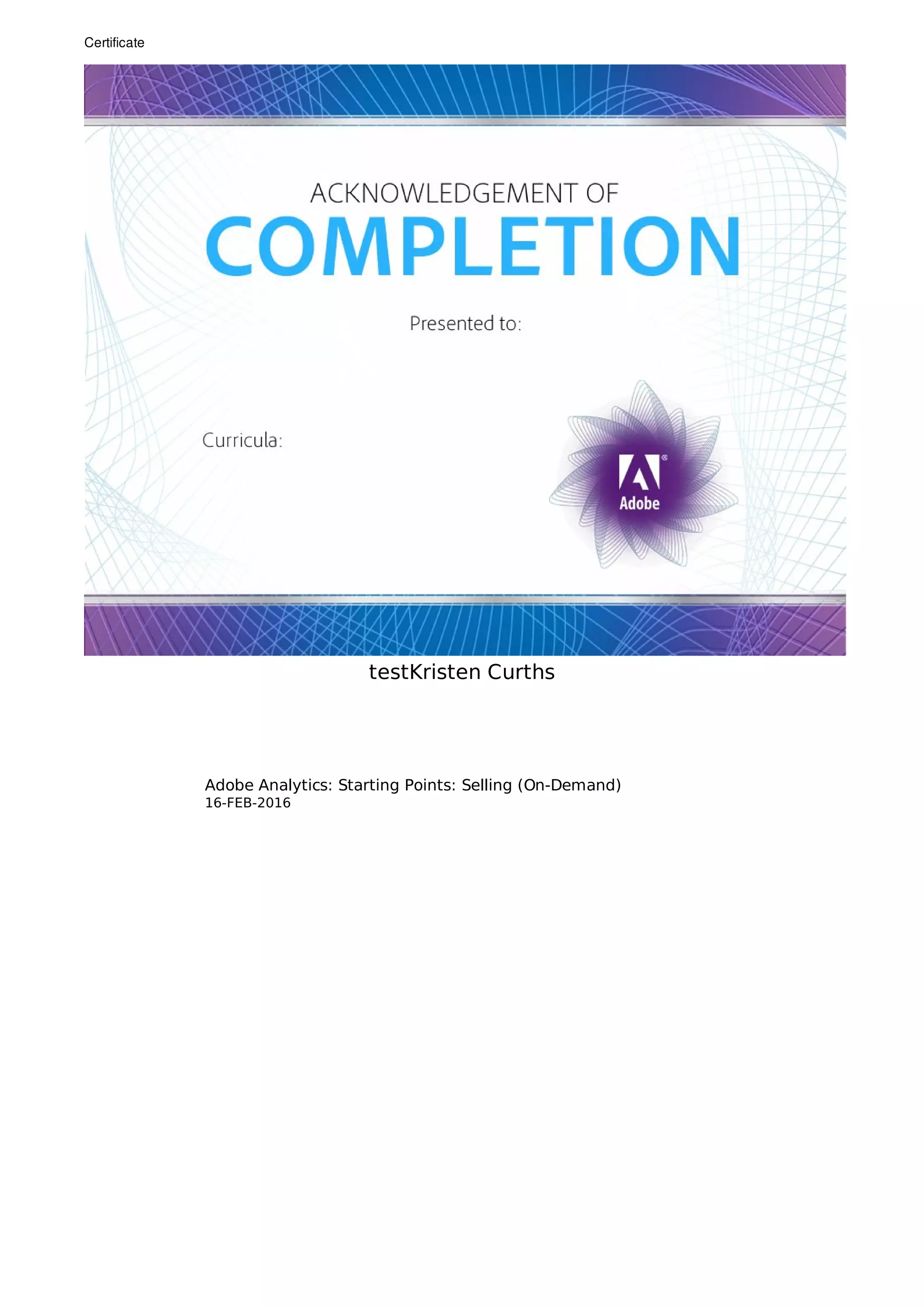 Adobe Analytics Certificate | PDF