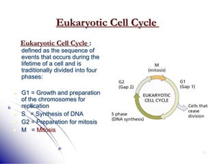 12
Eukaryotic Cell Cycle
Eukaryotic Cell Cycle :
defined as the sequence of
events that occurs during the
lifetime of a cell and is
traditionally divided into four
phases:
 G1 = Growth and preparation
of the chromosomes for
replication
 S = Synthesis of DNA
 G2 = Preparation for mitosis
 M = Mitosis
 
