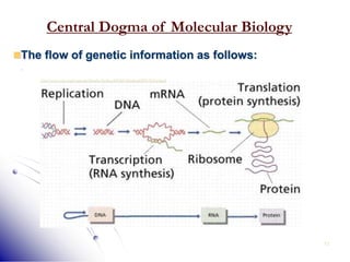 13
Central Dogma of Molecular Biology
http://www.emc.maricopa.edu/faculty/farabee/BIOBK/BioBookPROTSYn.html
The flow of genetic information as follows:
 