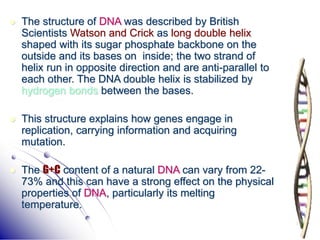 21
 The structure of DNA was described by British
Scientists Watson and Crick as long double helix
shaped with its sugar phosphate backbone on the
outside and its bases on inside; the two strand of
helix run in opposite direction and are anti-parallel to
each other. The DNA double helix is stabilized by
hydrogen bonds between the bases.
 This structure explains how genes engage in
replication, carrying information and acquiring
mutation.
 The G+C content of a natural DNA can vary from 22-
73% and this can have a strong effect on the physical
properties of DNA, particularly its melting
temperature.
 