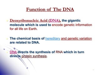 30
Function of The DNA
 Deoxyribonucleic Acid (DNA), the gigantic
molecule which is used to encode genetic information
for all life on Earth.
 The chemical basis of hereditary and genetic variation
are related to DNA.
 DNA directs the synthesis of RNA which in turn
directs protein synthesis.
 
