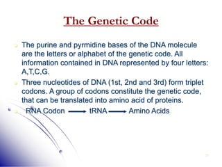 31
The Genetic Code
 The purine and pyrmidine bases of the DNA molecule
are the letters or alphabet of the genetic code. All
information contained in DNA represented by four letters:
A,T,C,G.
 Three nucleotides of DNA (1st, 2nd and 3rd) form triplet
codons. A group of codons constitute the genetic code,
that can be translated into amino acid of proteins.
 RNA Codon tRNA Amino Acids
 
