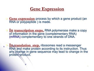 44
Gene Expression
 Gene expression process by which a gene product (an
RNA or polypeptide ) is made.
 In transcription steps, RNA polymerase make a copy
of information in the gene (complementary RNA)
(mRNA) complementary to one strands of DNA.
 In translation step, ribosomes read a messenger
RNA and make protein according to its instruction. Thus
any change in gene sequence may lead to change in the
protein product.
 