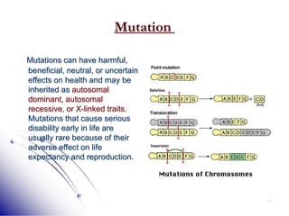 47
Mutation
Mutations can have harmful,
beneficial, neutral, or uncertain
effects on health and may be
inherited as autosomal
dominant, autosomal
recessive, or X-linked traits.
Mutations that cause serious
disability early in life are
usually rare because of their
adverse effect on life
expectancy and reproduction.
 
