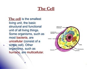 6
The Cell
The cell is the smallest
living unit, the basic
structural and functional
unit of all living things.
Some organisms, such as
most bacteria, are
unicellular (consist of a
single cell). Other
organisms, such as
humans, are multicellular.
 