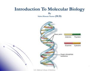 1
Introduction To Molecular Biology
By
Salwa Hassan Teama (M.D)
 
