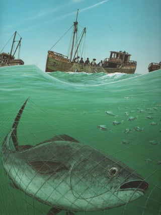 El Soldadito de Plomo de Jorg-Muller