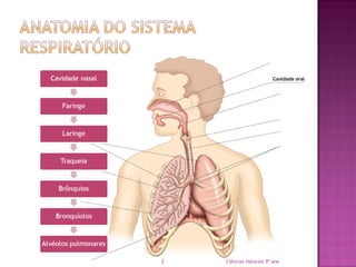 Ciências Naturais 9º ano2
 