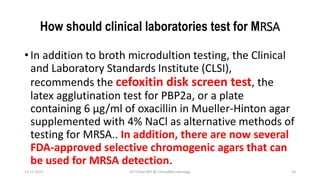 How should clinical laboratories test for MRSA
• In addition to broth microdultion testing, the Clinical
and Laboratory Standards Institute (CLSI),
recommends the cefoxitin disk screen test, the
latex agglutination test for PBP2a, or a plate
containing 6 μg/ml of oxacillin in Mueller-Hinton agar
supplemented with 4% NaCl as alternative methods of
testing for MRSA.. In addition, there are now several
FDA-approved selective chromogenic agars that can
be used for MRSA detection.
13-11-2023 Dr.T.V.Rao MD @ ClinicalMicrobiology 14
 