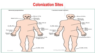 Colonization Sites
Dr.T.V.Rao MD @ MRSA
I
n
f
e
c
t
i
o
n
s
13-11-2023
 
