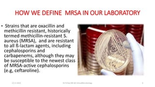HOW WE DEFINE MRSA IN OUR LABORATORY
• Strains that are oxacillin and
methicillin resistant, historically
termed methicillin-resistant S.
aureus (MRSA), and are resistant
to all ß-lactam agents, including
cephalosporins and
carbapenems, although they may
be susceptible to the newest class
of MRSA-active cephalosporins
(e.g, ceftaroline).
13-11-2023 Dr.T.V.Rao MD @ ClinicalMicrobiology 6
 