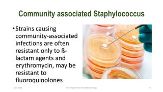Community associated Staphylococcus
•Strains causing
community-associated
infections are often
resistant only to ß-
lactam agents and
erythromycin, may be
resistant to
fluoroquinolones
13-11-2023 Dr.T.V.Rao MD @ ClinicalMicrobiology 8
 