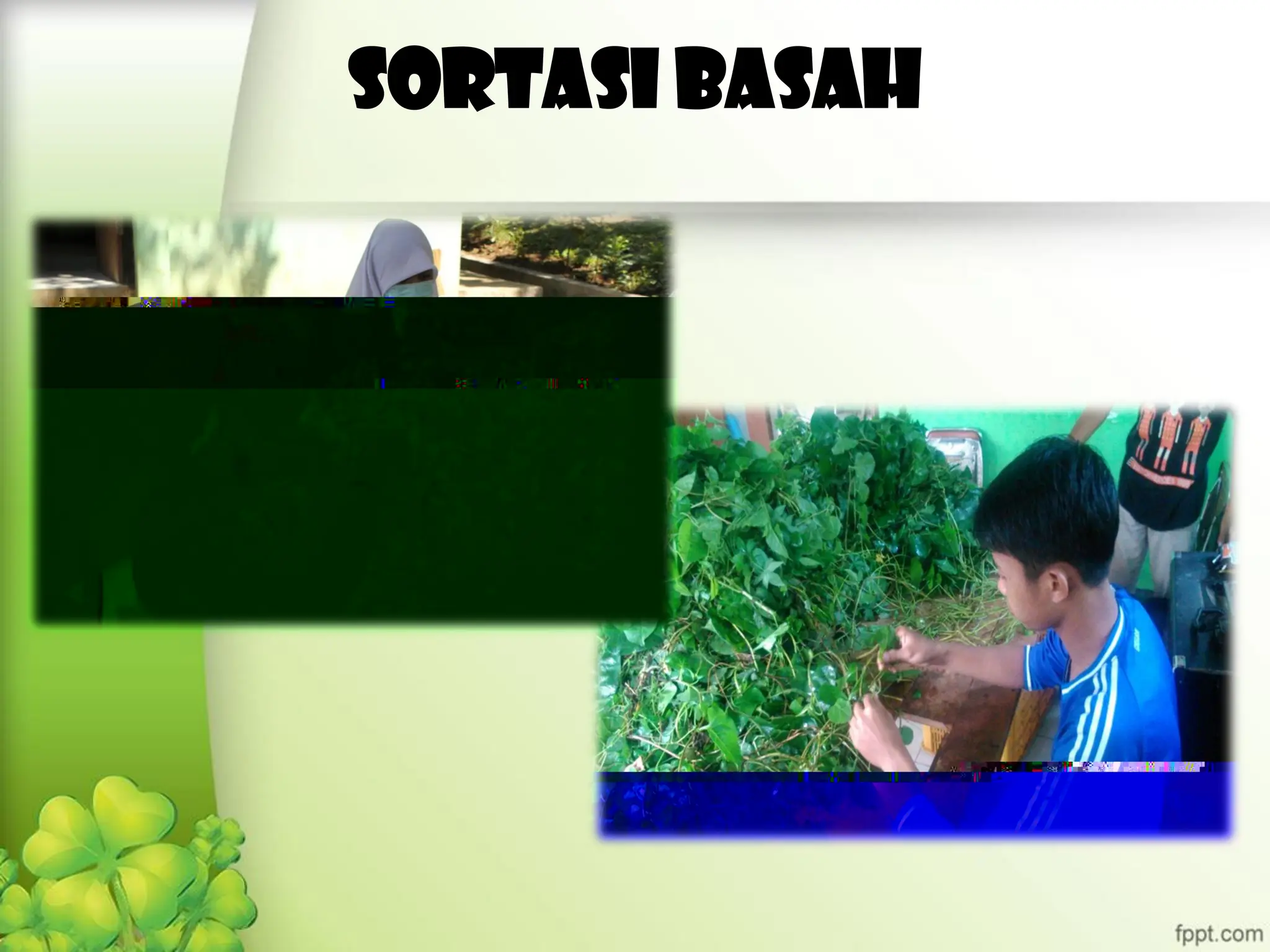 PRINSIP PEMBUATAN SIMPLISIA | PDF