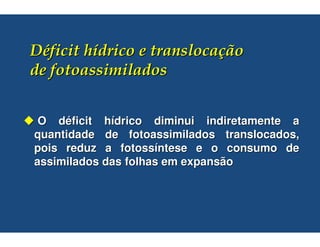 O déficit hídrico diminui indiretamente a
quantidade de fotoassimilados translocados,
pois reduz a fotossíntese e o consumo de
assimilados das folhas em expansão
 