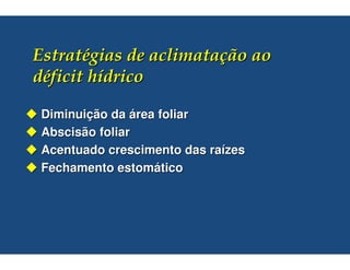 Diminuição da área foliar
Abscisão foliar
Acentuado crescimento das raízes
Fechamento estomático
 