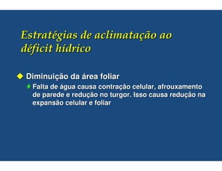 Diminuição da área foliar
 Falta de água causa contração celular, afrouxamento
 de parede e redução no turgor. Isso causa redução na
 expansão celular e foliar
 