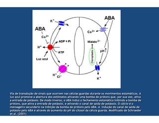 $
$    %%         %
                %   &' %
                    &' %          (
                                  (            )
                                               )      *
                                                      *          % %
                                                                 % %           ) +)
                                                                                ) +)           ),
                                                                                               ),
    - -
    - -         )
                )   ++       .
                             .      %
                                    %      /)
                                            /)        ++    %
                                                            %  ) . ). %
                                                               ) . ). %            ( 0
                                                                                    ( 0        + -0 +
                                                                                               + -0 +
          % %
          % %          ,,        ) %
                                 ) %    ++      00         % -
                                                           % -    1 )
                                                                  1 )          ),
                                                                               ),       . %
                                                                                        . %    . ). %
                                                                                                . ). %
          0(
           0(         ++         % %
                                 % %       ,
                                           ,     00   +
                                                      +    %%       %
                                                                    %  2% %
                                                                       2% %       ,,      ,,    **
)
)                        %,
                          %,        . &' % . ) . %
                                    . &' % . ) . %                            % &' %
                                                                               % &' %        %
                                                                                             %     2% %
                                                                                                   2% %
    ,
    ,                     *
                          *    +* %
                               +* %     )
                                        )         %% 3 %
                                                     3 %        %
                                                                %   *
                                                                    *         % 4 %
                                                                              % 4 %      % %
                                                                                         % %      1
                                                                                                  1   %%
        567789
        567789
 