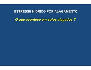 ESTRESSE HÍDRICO POR ALAGAMENTO

O que acontece em solos alagados ?
 