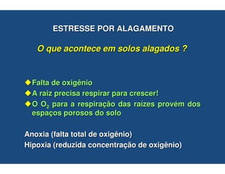 ESTRESSE POR ALAGAMENTO

   O que acontece em solos alagados ?


  Falta de oxigênio
  A raiz precisa respirar para crescer!
  O O2 para a respiração das raízes provém dos
  espaços porosos do solo

Anoxia (falta total de oxigênio)
Hipoxia (reduzida concentração de oxigênio)
 
