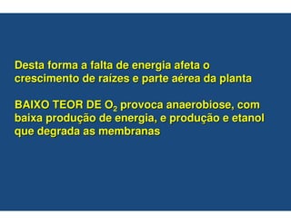 Desta forma a falta de energia afeta o
crescimento de raízes e parte aérea da planta

BAIXO TEOR DE O2 provoca anaerobiose, com
baixa produção de energia, e produção e etanol
que degrada as membranas
 
