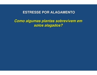 ESTRESSE POR ALAGAMENTO

Como algumas plantas sobrevivem em
         solos alagados?
 