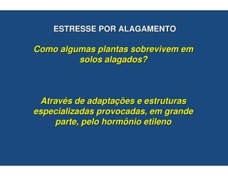 ESTRESSE POR ALAGAMENTO

Como algumas plantas sobrevivem em
         solos alagados?



 Através de adaptações e estruturas
especializadas provocadas, em grande
    parte, pelo hormônio etileno
 