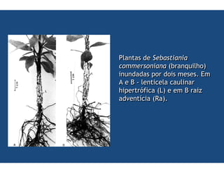 .
                       #

    08
     9    ,#   0   6
     5   * #
 