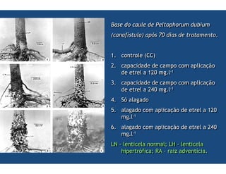 :
:                 ""#
                  ""#
                                      ;
                                      ;
                  : !   1   8:
                            8:
                  : !   1
&
&                                     ;
                                      ;
                   <!   1   8:
                            8:
                   <!   1
<
<   $9
    $9    1
          1
=
=       1
        1                   ;
                            ;         : !
                                      : !
       1 8:
       1 8:
>
>       1
        1                   ;
                            ;             <!
                                          <!
       1 8:
       1 8:
,2 8
,2 8                   ? ,@ 8
                       ? ,@ 8
              9
              9    ?* 8 6
                   ?* 8 6        55
 