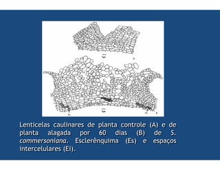 ,                             #
    1           >!       0#
            4        #            ;
        #
 