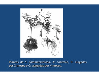 .               -0   1
    "   1   <
 