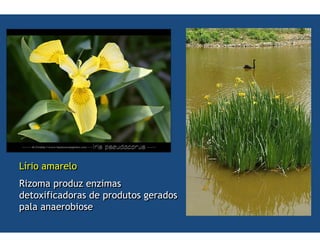 ,5
*6   6   6
             1
 