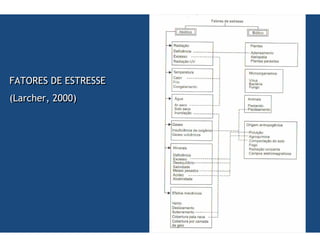 (   )* $ +   $ * $$
,      - !!!#
 