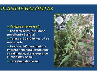 &! "                 !*+


                5 + <       9
      #             5(      % %
      )   1     =      9
               * >? 777 )       <8
                                <8   %

      #   %     @         %)
  )           ).         %
 %           % % 0 .      +       %
 (         % % %
          ) A %      %
 