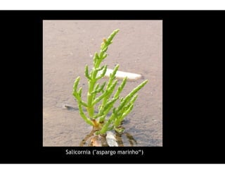 $
$   D
    D   1
        1   E#
            E#
 