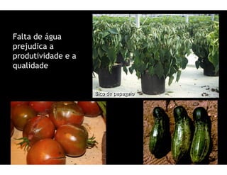 (       1
    %




            0
            0   1
                1
 