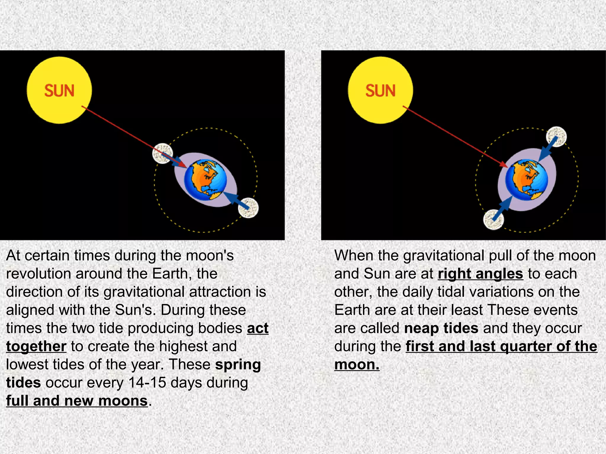 At certain times during the moon's             When the gravitational pull of the moon
revolution around the Earth, the               and Sun are at right angles to each
direction of its gravitational attraction is   other, the daily tidal variations on the
aligned with the Sun's. During these           Earth are at their least These events
times the two tide producing bodies act        are called neap tides and they occur
together to create the highest and             during the first and last quarter of the
lowest tides of the year. These spring         moon.
tides occur every 14-15 days during
full and new moons.
 