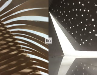 fin
 