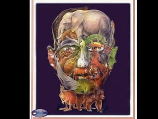 3290646 percepcao-ppt