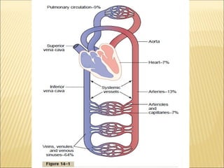 Understanding Blood Flow Dynamics: Arterial Structure, Poiseuille's Law ...