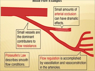 Understanding Blood Flow Dynamics: Arterial Structure, Poiseuille's Law ...