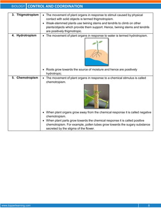 3293Bio X A.pdf