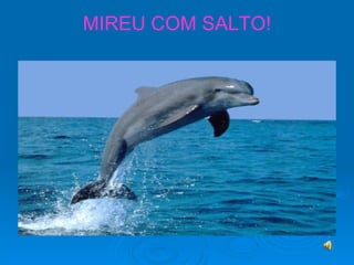 MIREU COM SALTO! 