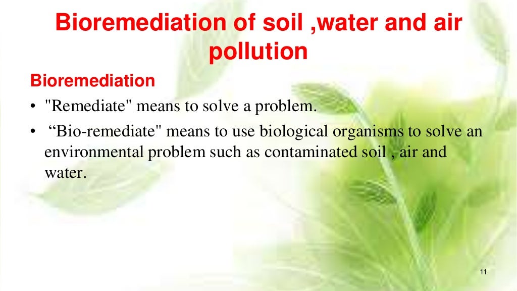 man made pollution and bioremediation aspects
